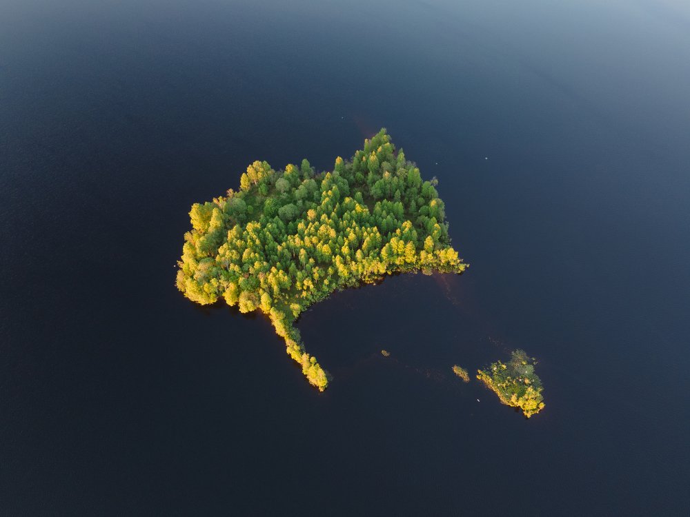 Photograph by Егор Лебедев