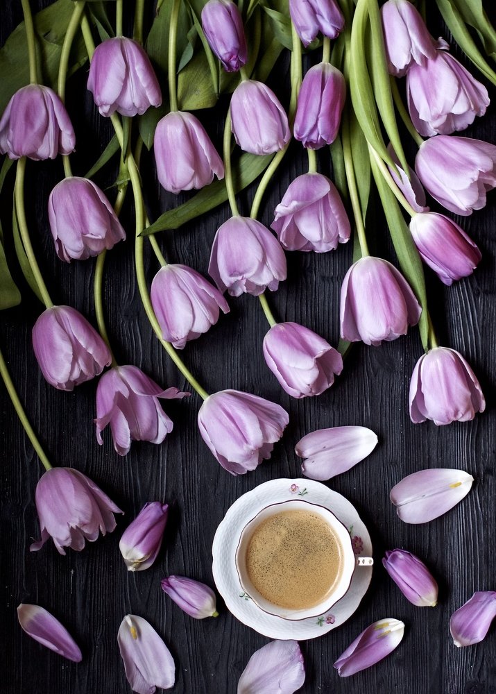 Photograph by Елена Новикова