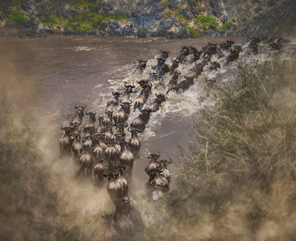 Photograph by SAMIUL KABIR