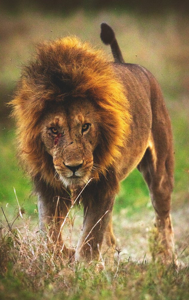 Photograph by SAMIUL KABIR