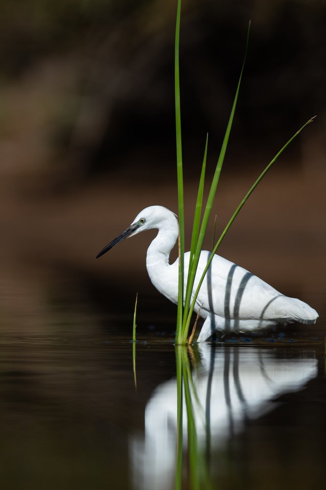 Photograph by Nuno Alexandre Candido