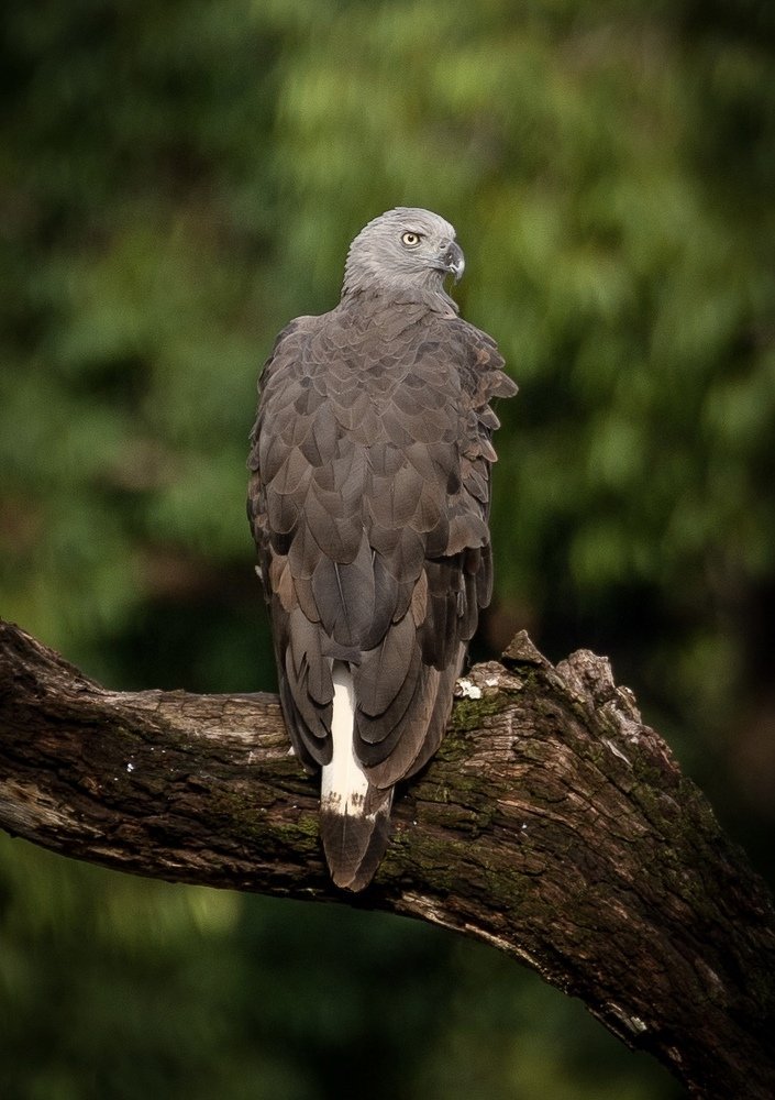 Photograph by USAIDUDDIN QUAZI