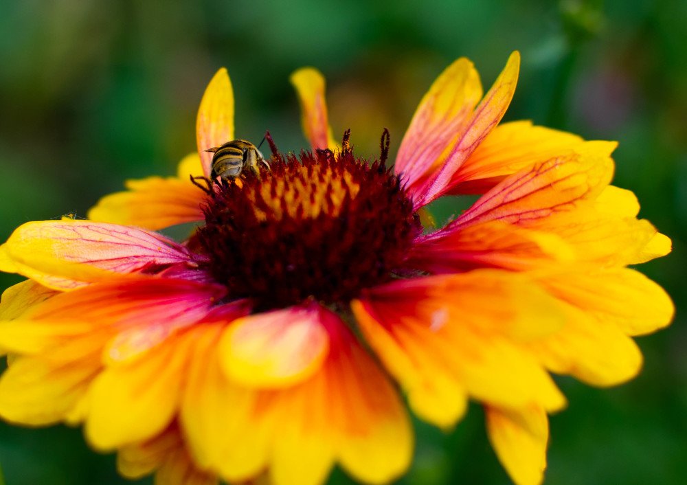 Не извините, что жопкой!