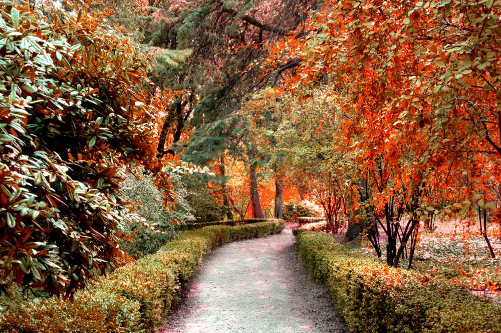 Photograph by Andrei Kramskov