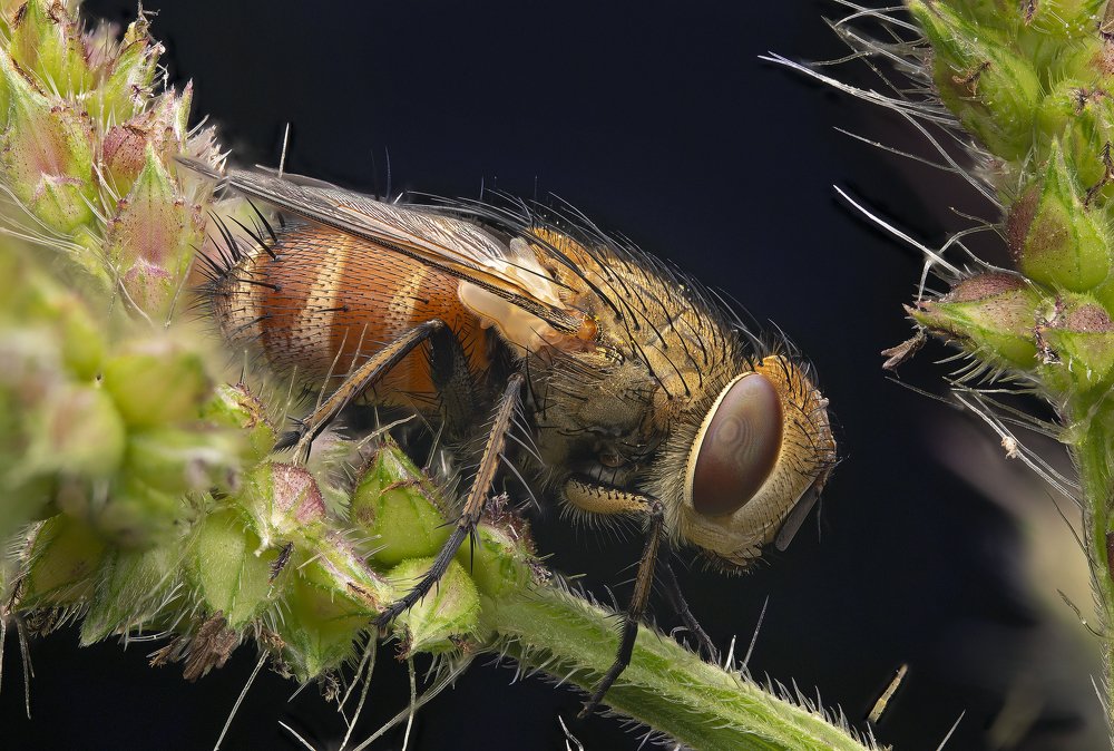 Photograph by Иван Радьков