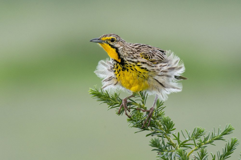 Photograph by EELIN Chan