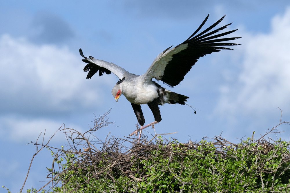 Photograph by EELIN Chan