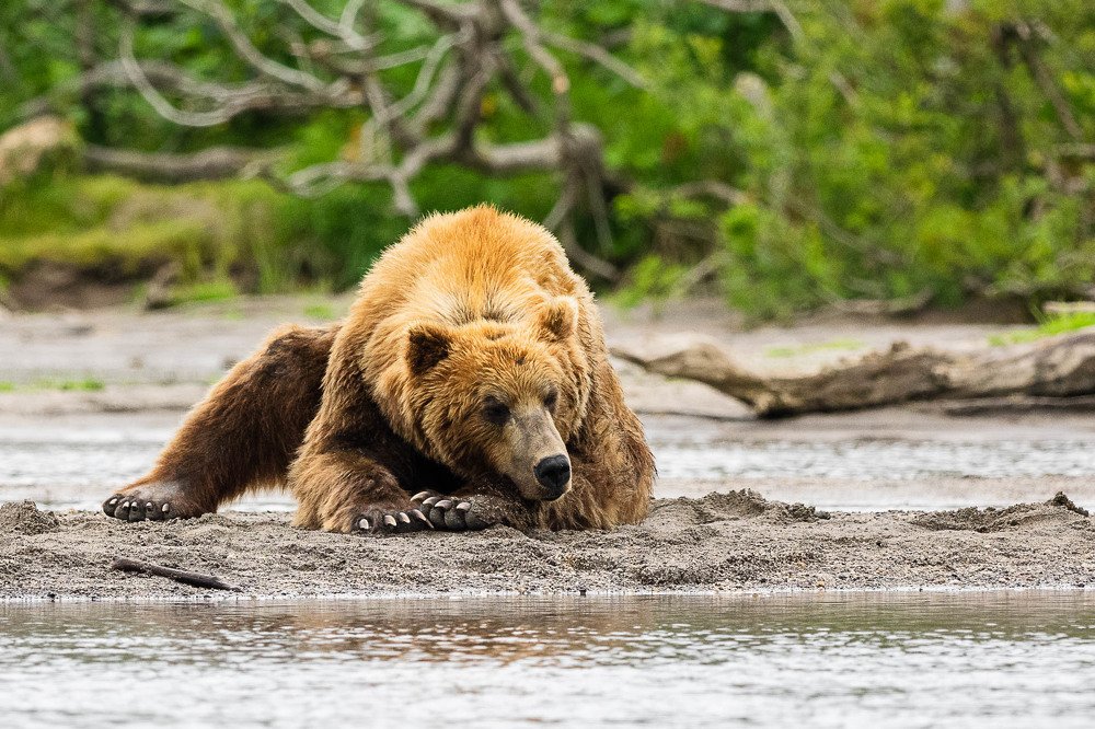 Photograph by Марина Маликова