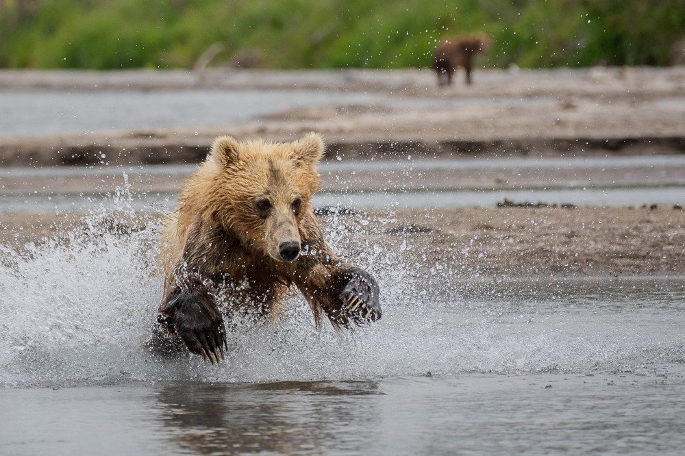Бороться до победного!