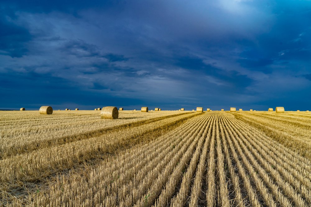 Осенние картинки.