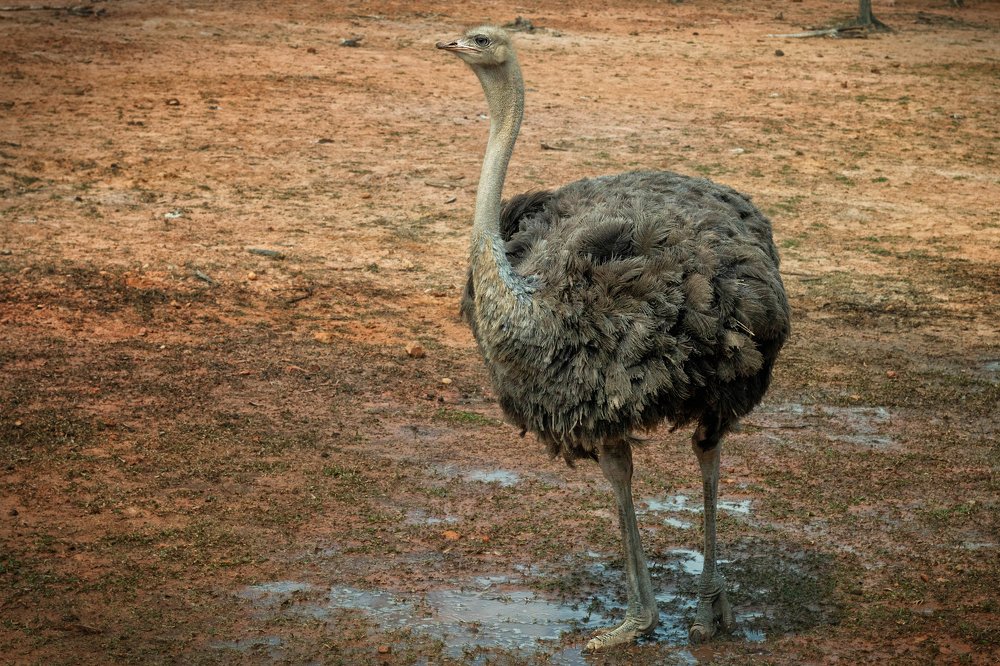 Photograph by Ирина Кононова