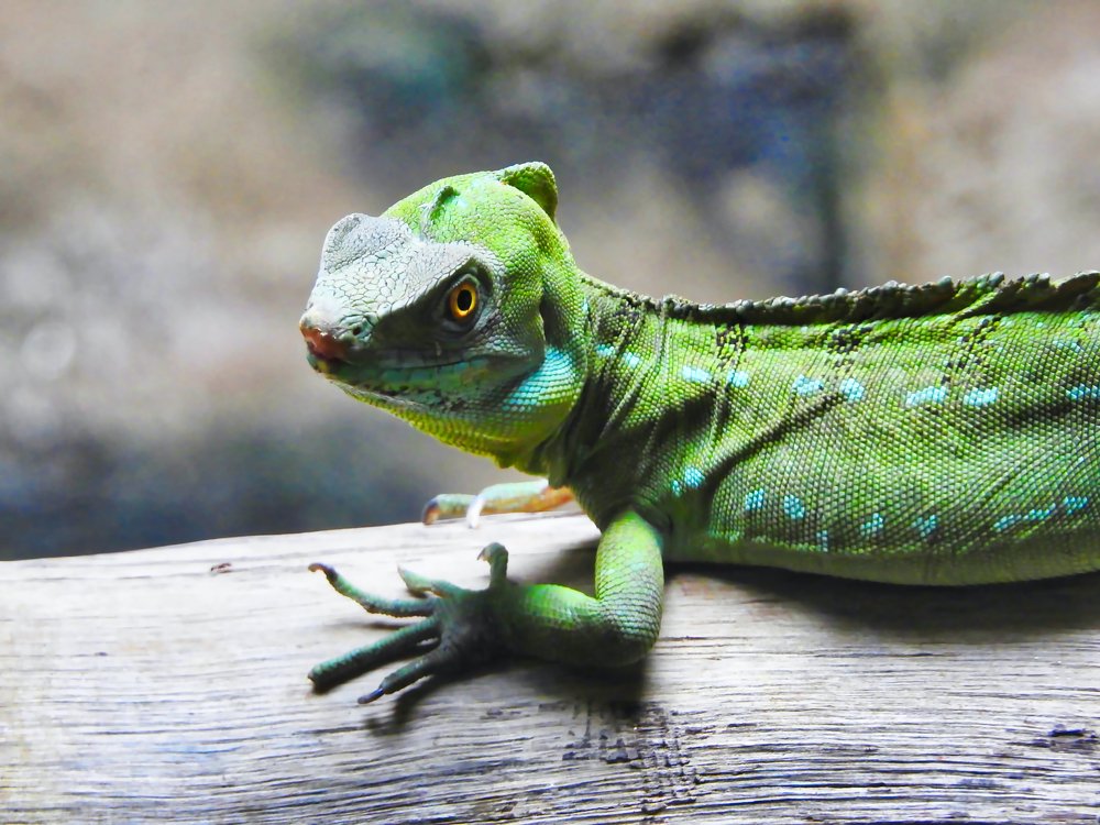 Photograph by Nomorenicknames