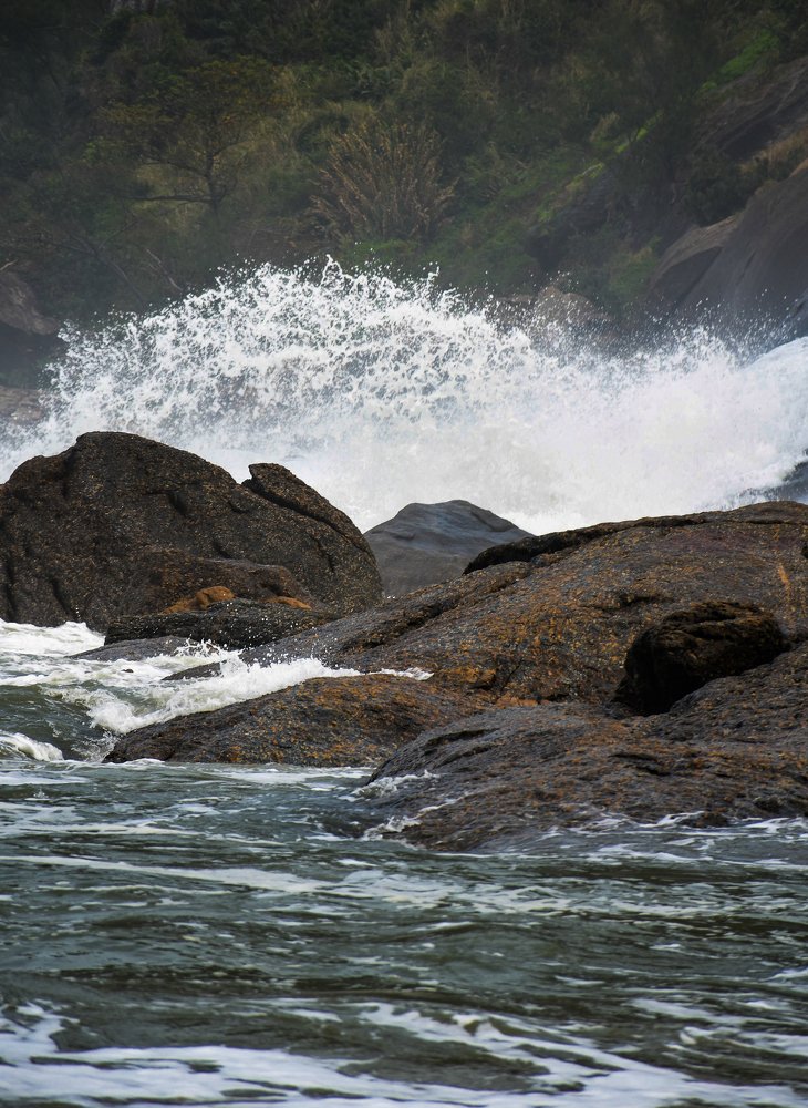 Photograph by Cristhiane Euphrasio da Silva