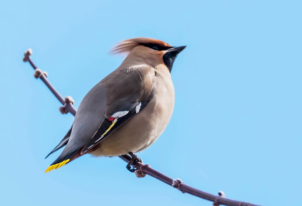 Photograph by Игорь Боголюбов