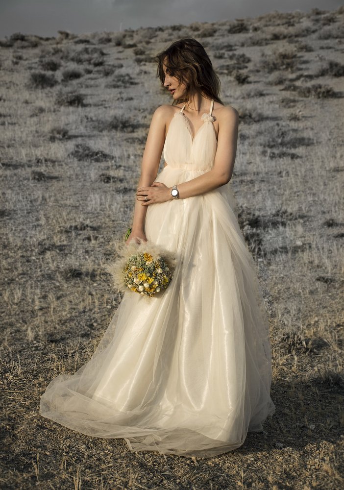 Photograph by Shadi Hafez daneshmand