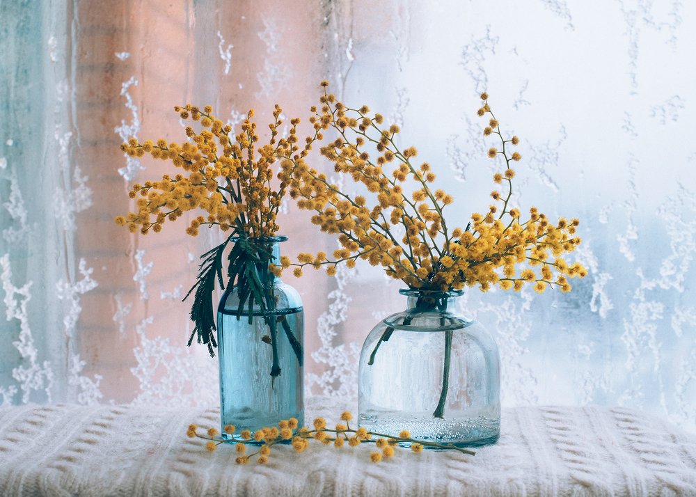 Photograph by Сергеева Марина