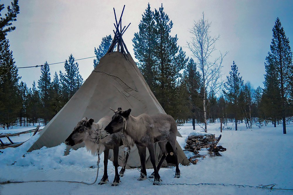 Photograph by Вячеслав Парамонов