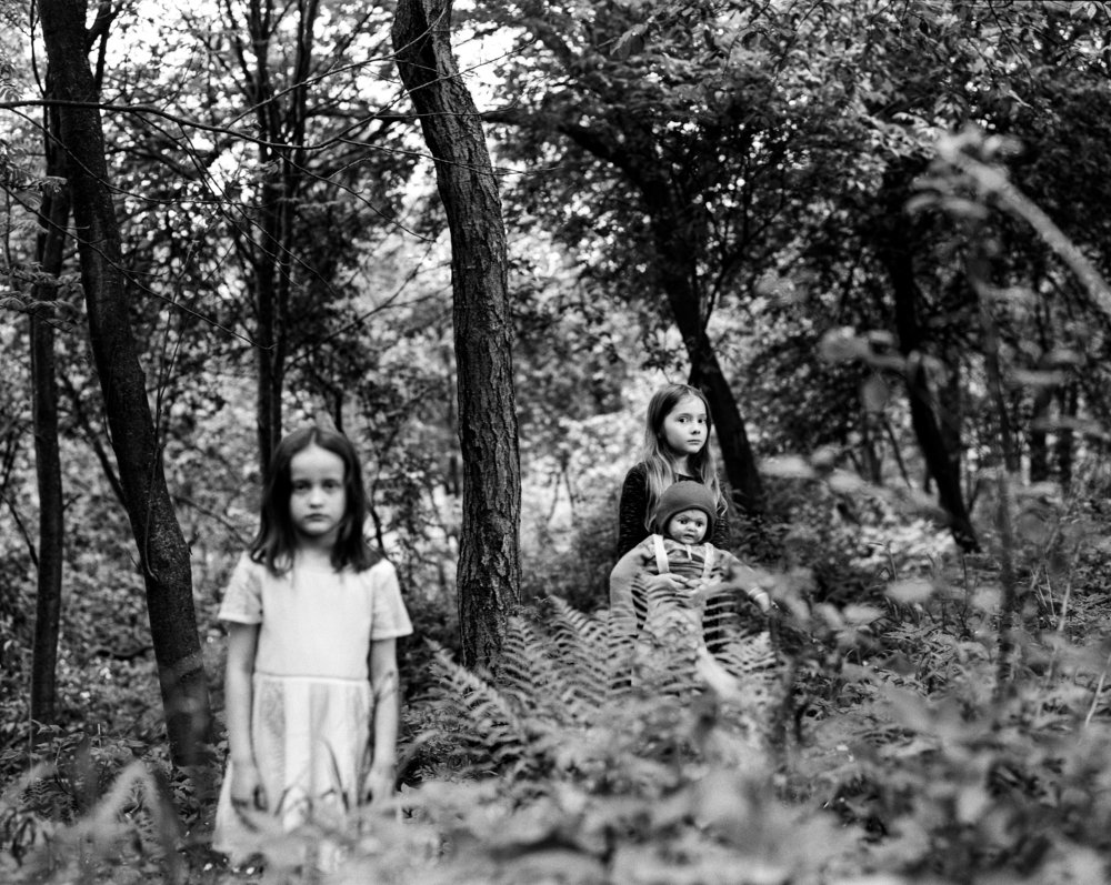 Photograph by Дмитрий Криволуцких