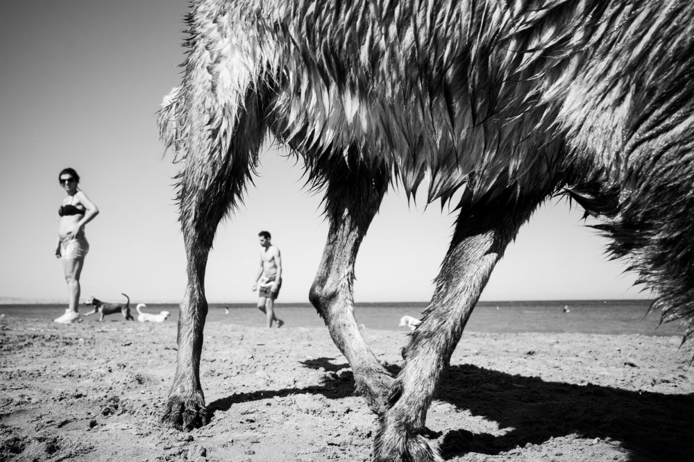 Photograph by Vassilis Dimitriades