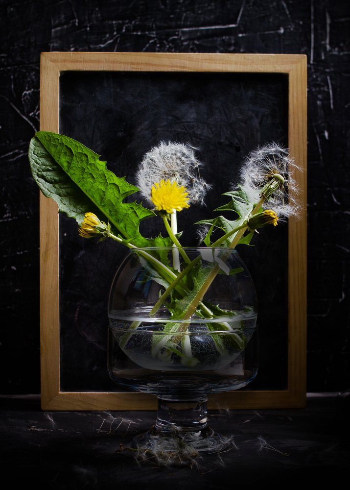 Photograph by Назим Оруджов