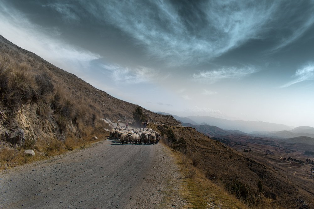 Niños pastores en medio de un inicio de tormenta electrica
