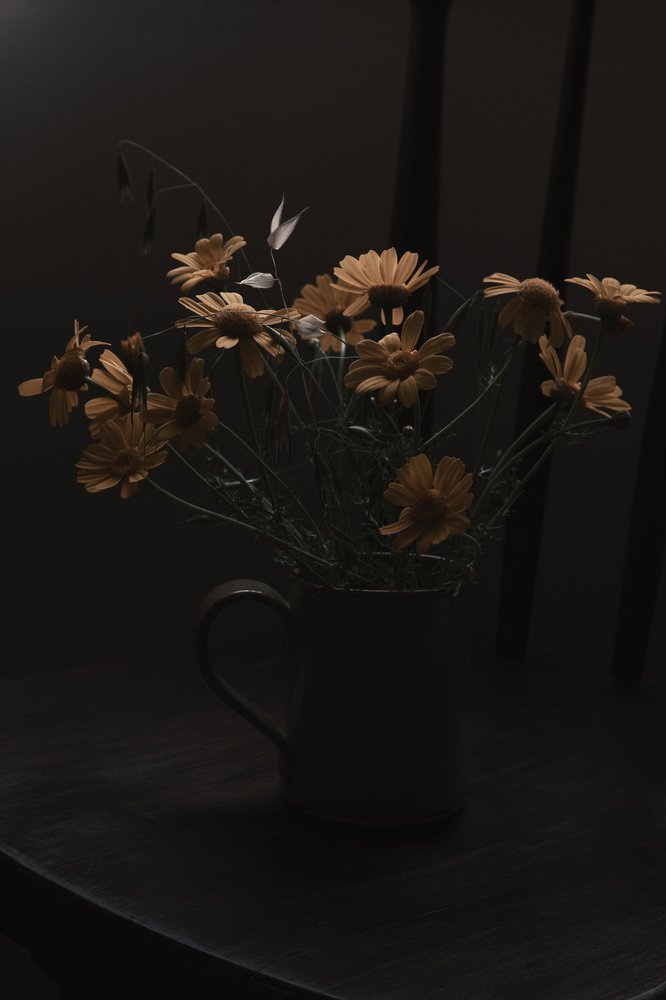 Photograph by Rita Kapitulski