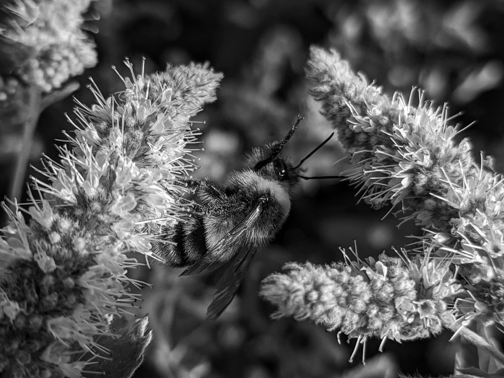 Photograph by Денис Пономарёв