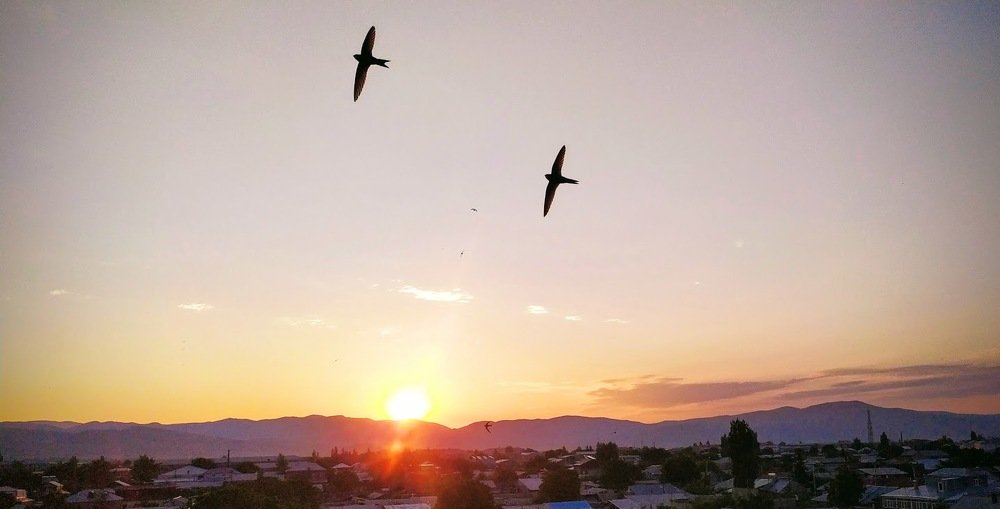 Фотография автора Ashik Hovhannisyan