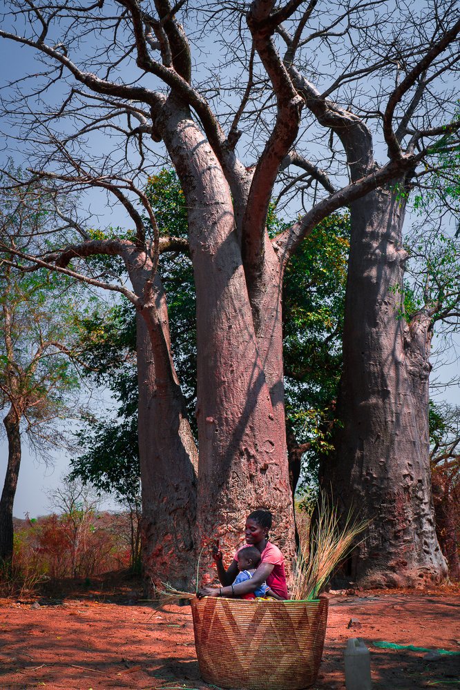 Photograph by Sidney Ferreira