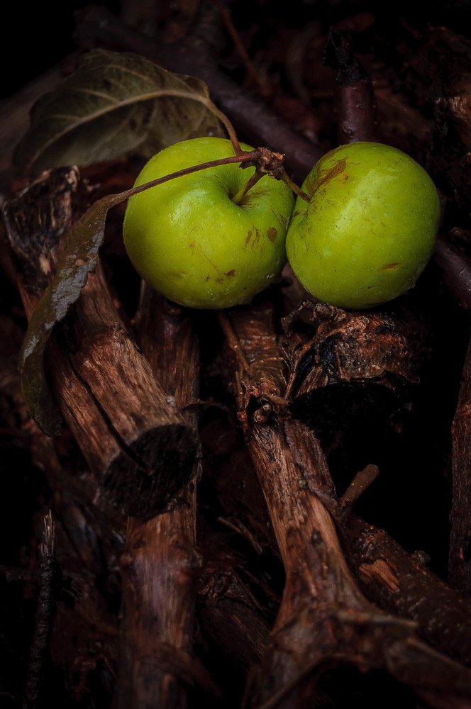 Яблоки на дровах )
