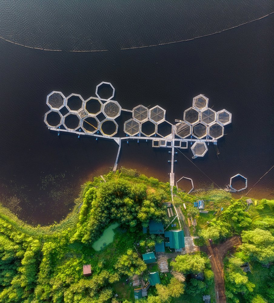 Photograph by Устюжанин Михаил