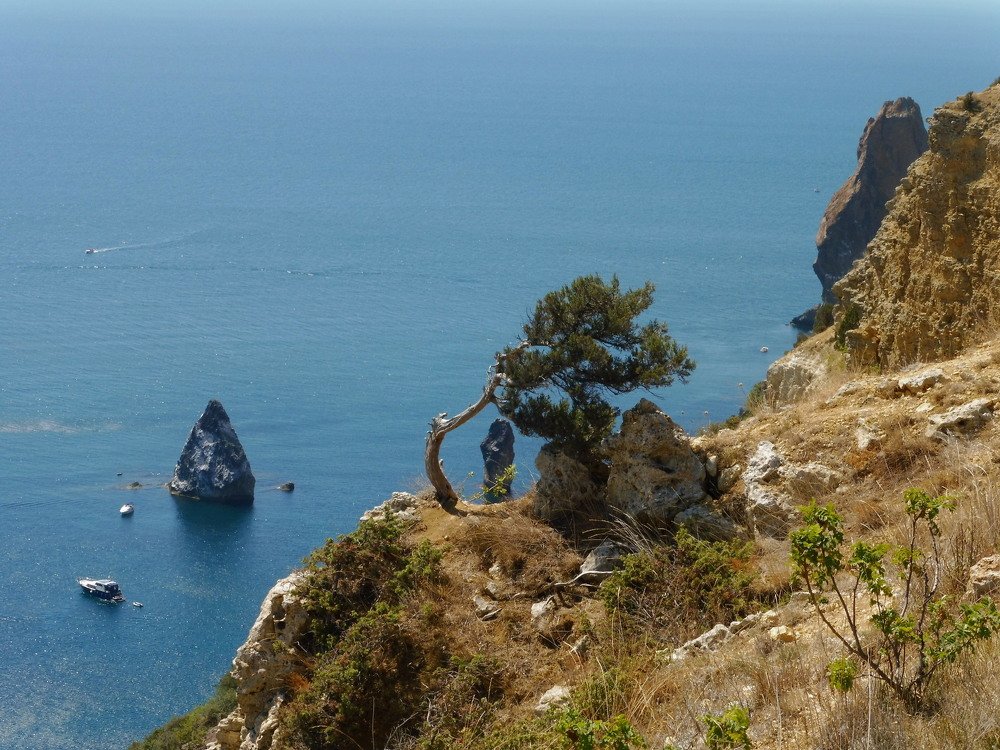 Photograph by Елена Коробкина