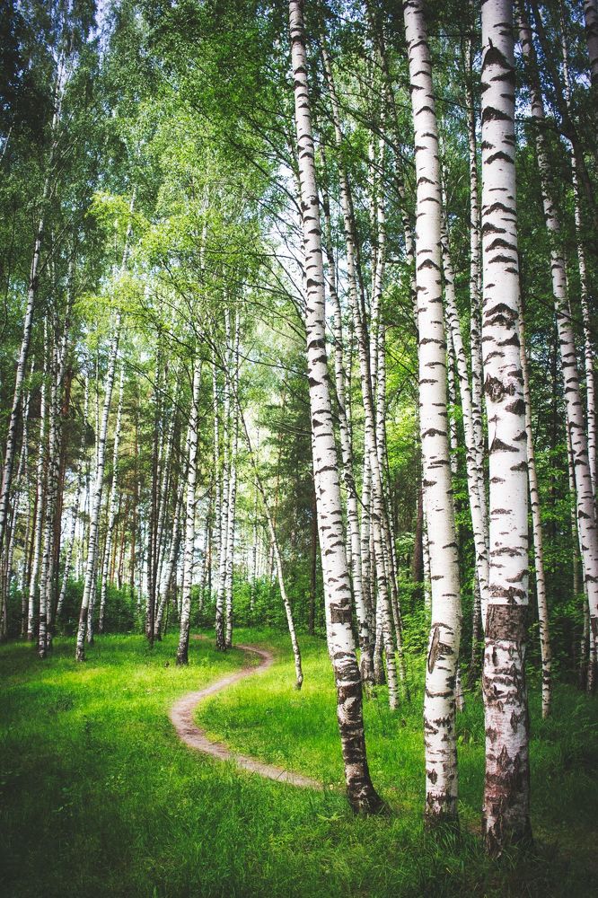 Photograph by Светлана Зайцева