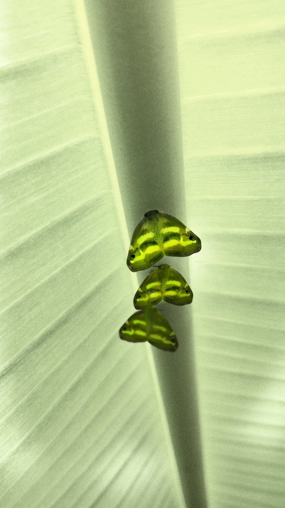 Photograph by Антон Косырев