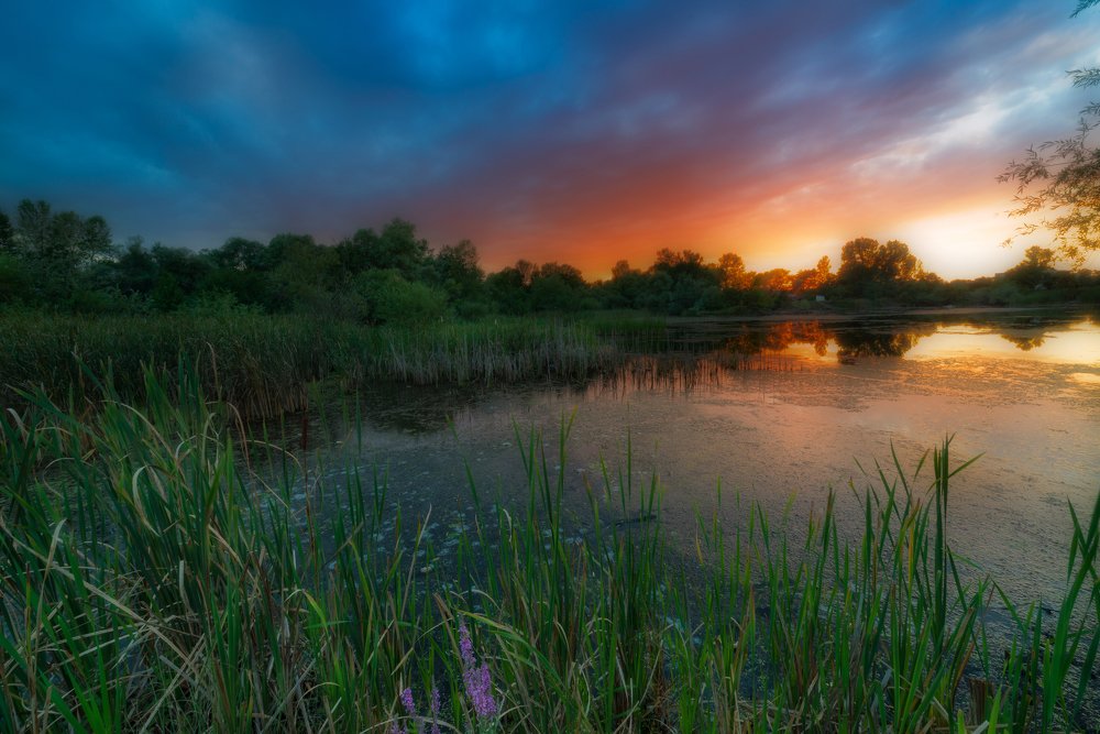 Photograph by Александр Орнатский