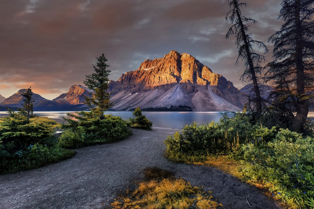 Photograph by Brian Adamson