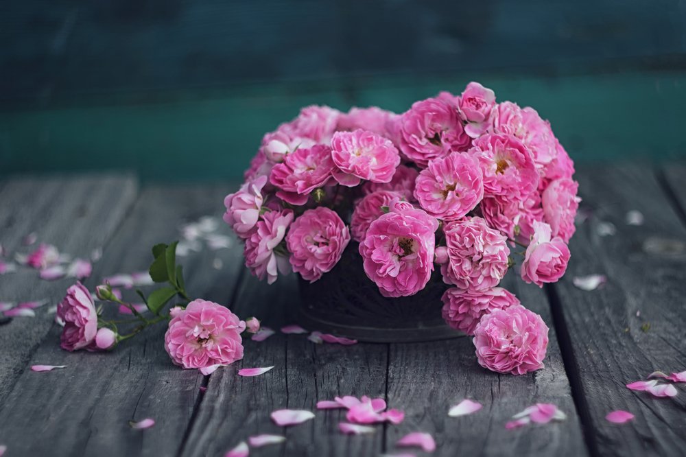 Розовые розы