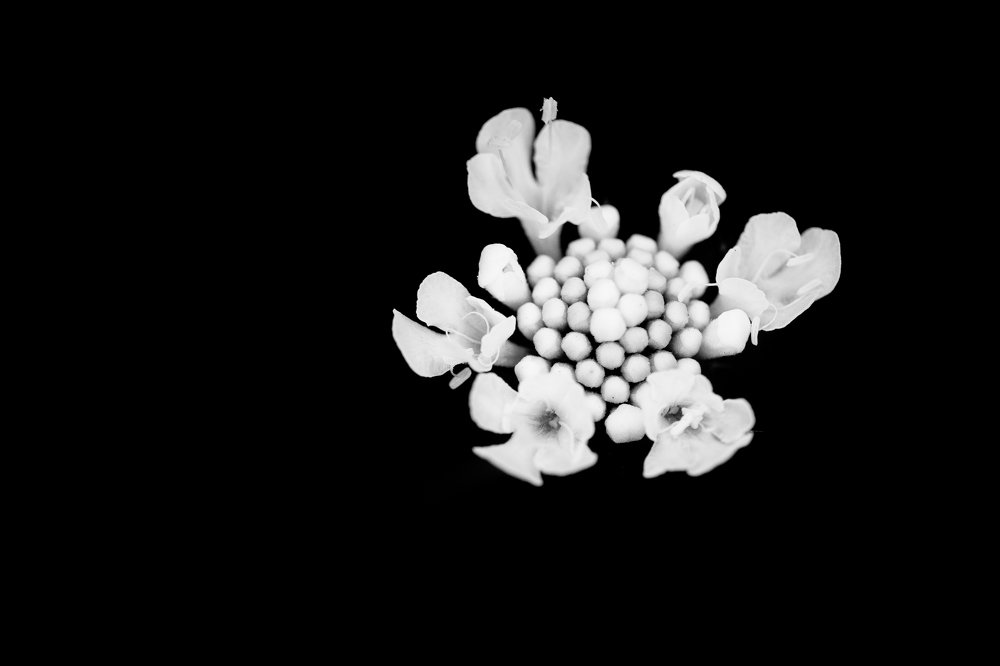 Photograph by Juraj Šulek