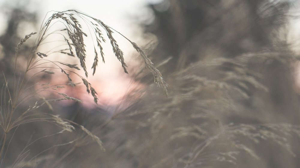 Photograph by Rita Kapitulski