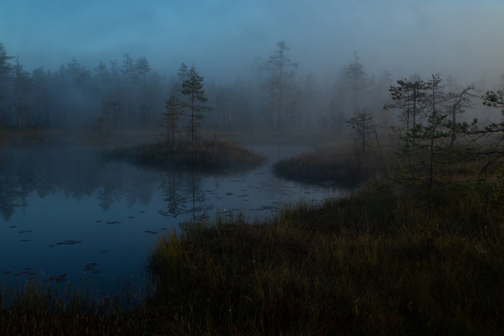 Photo #4893610