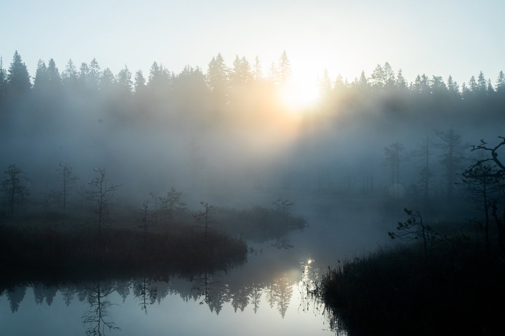 Photo #4893611