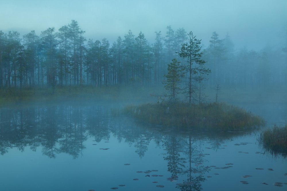 Photograph by Игнат Горелов