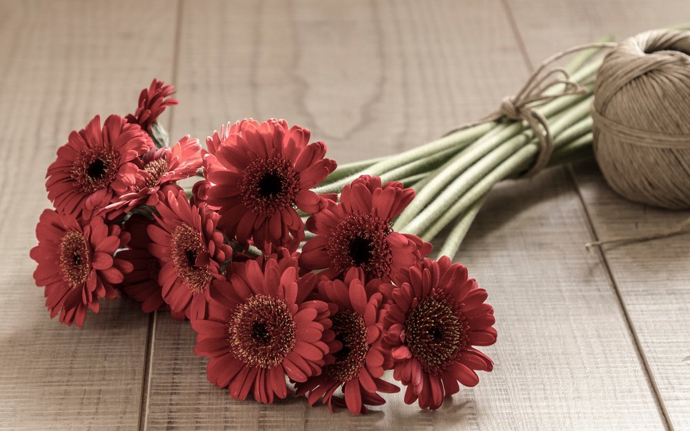 Photograph by Rita Kapitulski