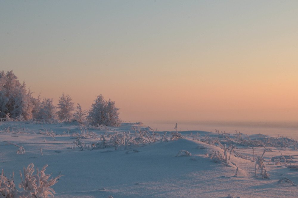 Photograph by Александр Трифанов