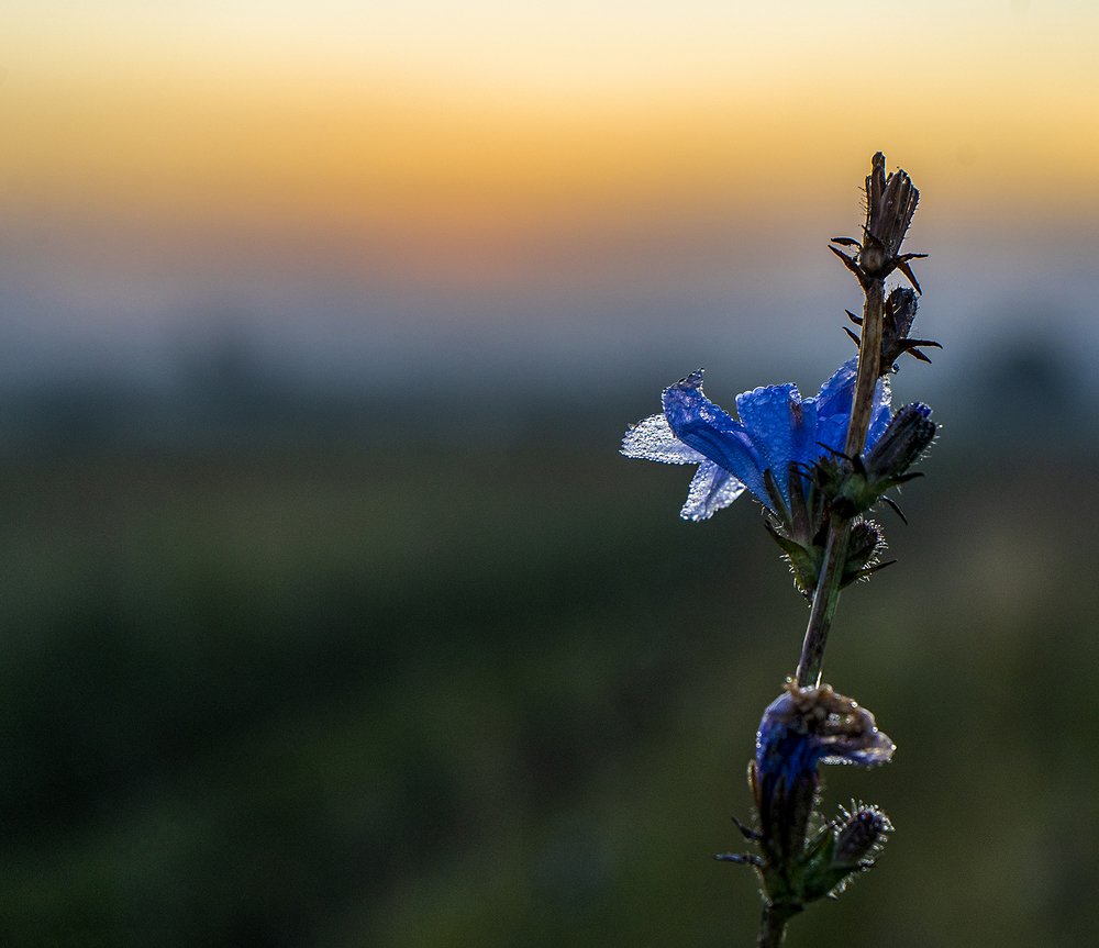 Photograph by Елена Вакумова