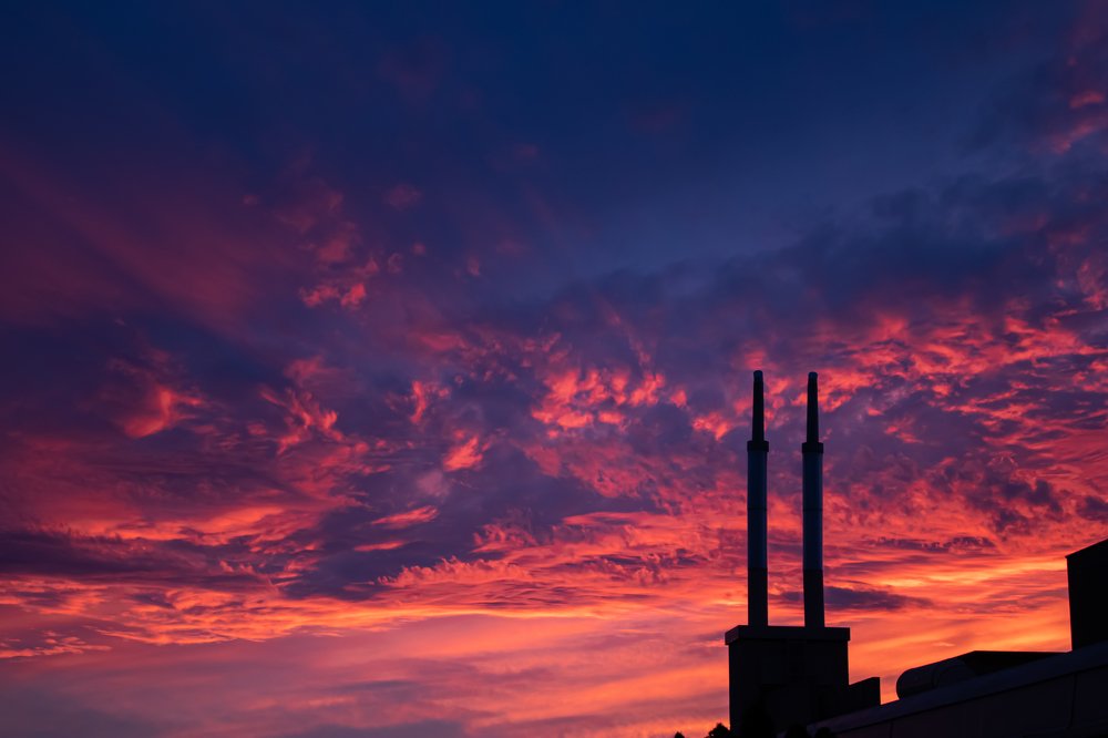 Photograph by Евгения Луговая