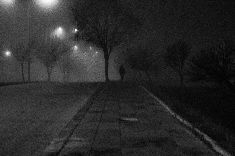 Photograph by Nevin Belder