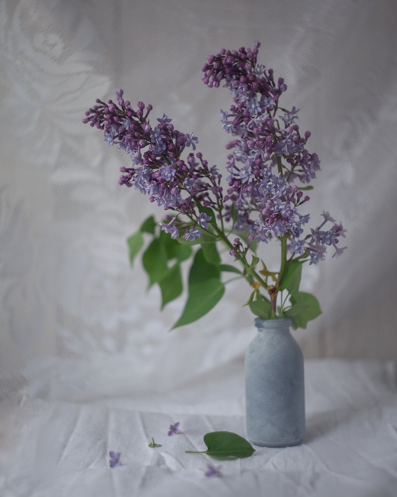 Photograph by Валентина Князева