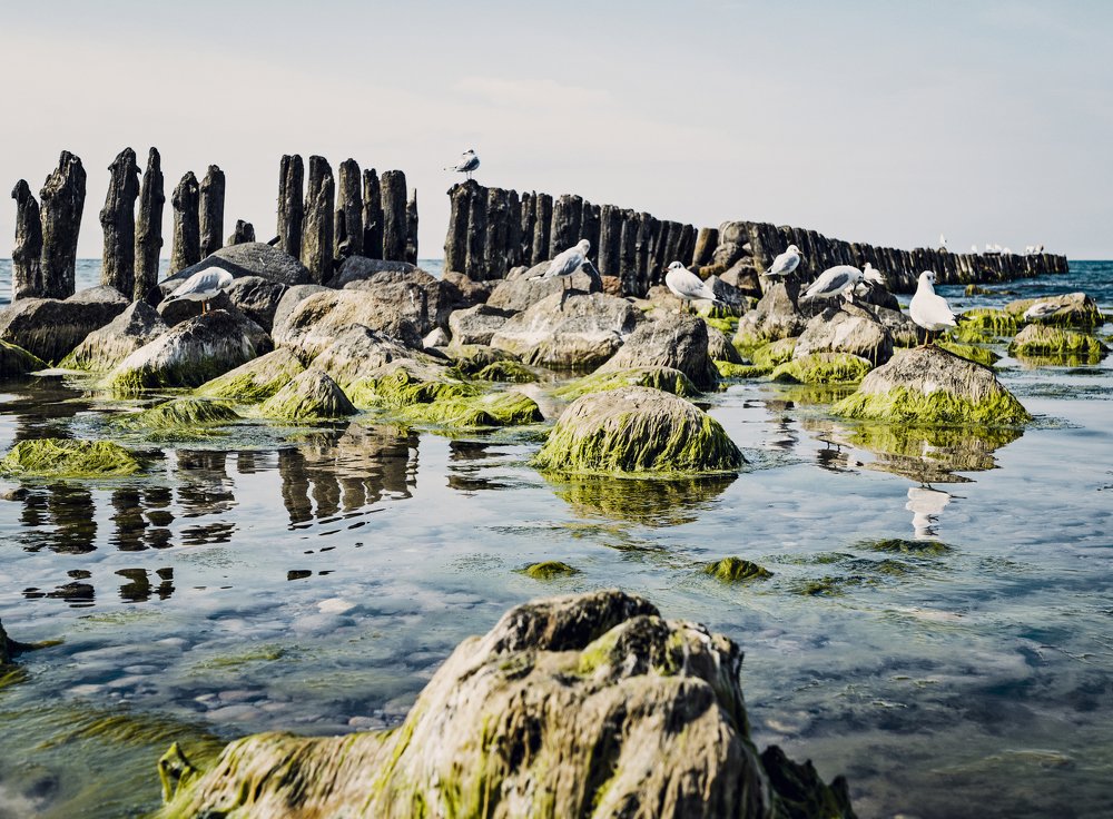 Photograph by Илья Михайлов