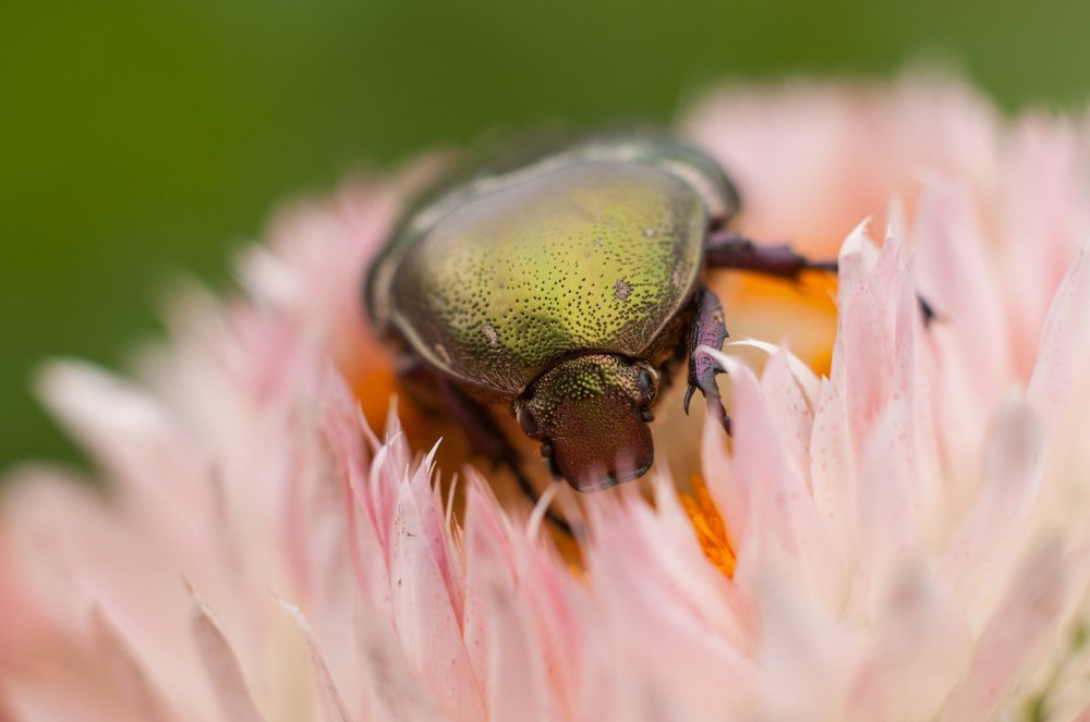 Photograph by Дмитрий Шадрин